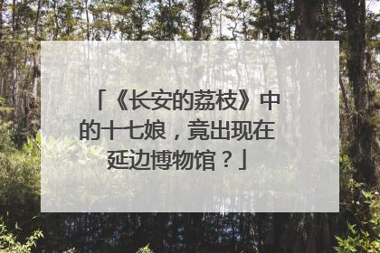 《长安的荔枝》中的十七娘，竟出现在延边博物馆？