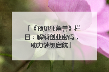 《预见独角兽》栏目：解锁创业密码，助力梦想启航