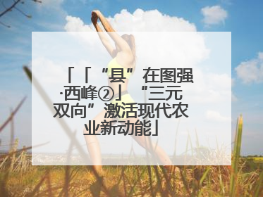 「“县”在图强·西峰②」“三元双向”激活现代农业新动能