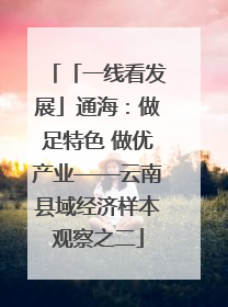 「一线看发展」通海：做足特色 做优产业——云南县域经济样本观察之二