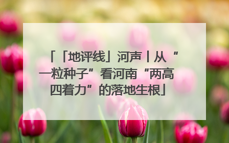 「地评线」河声丨从“一粒种子”看河南“两高四着力”的落地生根