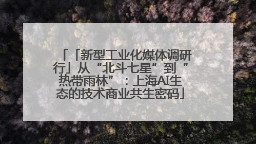 「新型工业化媒体调研行」从“北斗七星”到“热带雨林”：上海AI生态的技术商业共生密码
