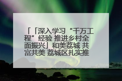 「深入学习“千万工程”经验 推进乡村全面振兴」和美荔城 共富共美 荔城区扎实推进乡村振兴工作