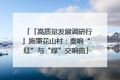 「高质量发展调研行」施秉花山村：奏响“红”与“绿”交响曲