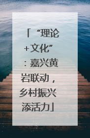 “理论+文化”：嘉兴黄岩联动，乡村振兴添活力