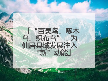 “百灵鸟、啄木鸟、织布鸟”，为仙居县域发展注入“新”动能