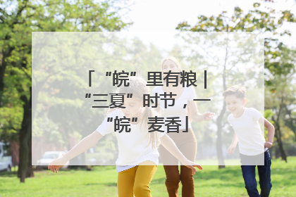 “皖”里有粮｜“三夏”时节，一“皖”麦香