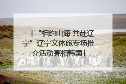 “相约山海 共赴辽宁”辽宁文体旅专场推介活动亮相韩国