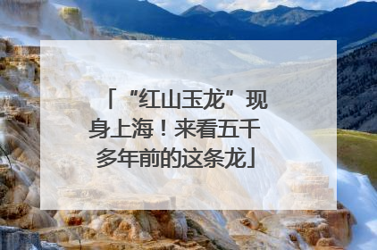“红山玉龙”现身上海！来看五千多年前的这条龙