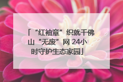 “红袖章”织就千佛山“无废”网 24小时守护生态家园