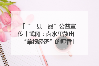 “一县一品”公益宣传丨武冈：卤水里熬出“草根经济”的醇香