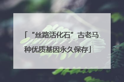 “丝路活化石”古老马种优质基因永久保存