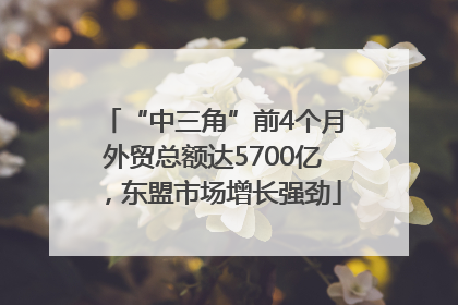 “中三角”前4个月外贸总额达5700亿，东盟市场增长强劲