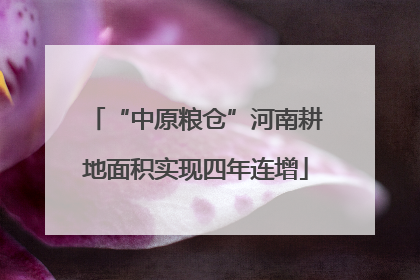 “中原粮仓”河南耕地面积实现四年连增
