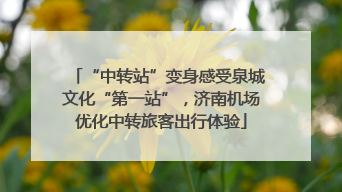 “中转站”变身感受泉城文化“第一站”，济南机场优化中转旅客出行体验