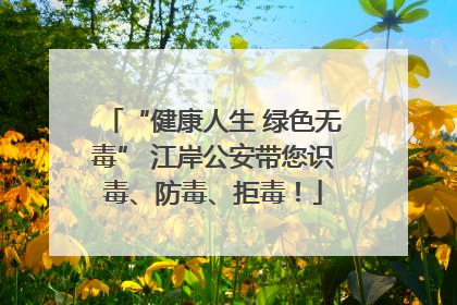“健康人生 绿色无毒” 江岸公安带您识毒、防毒、拒毒！
