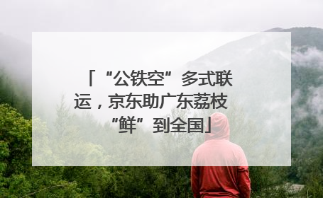 “公铁空”多式联运，京东助广东荔枝“鲜”到全国