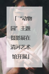 “动物园”主题摄影展在清河艺术馆开展
