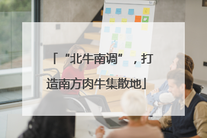“北牛南调”，打造南方肉牛集散地