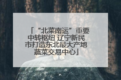 “北菜南运”重要中转枢纽 辽宁新民市打造东北最大产地蔬菜交易中心
