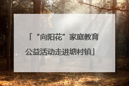 “向阳花”家庭教育公益活动走进塘村镇