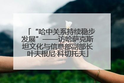 “哈中关系持续稳步发展”——访哈萨克斯坦文化与信息部副部长叶夫根尼·科切托夫