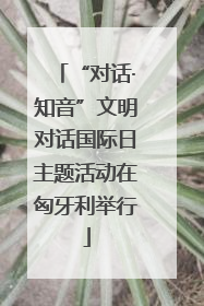 “对话·知音”文明对话国际日主题活动在匈牙利举行