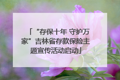 “存保十年 守护万家”吉林省存款保险主题宣传活动启动