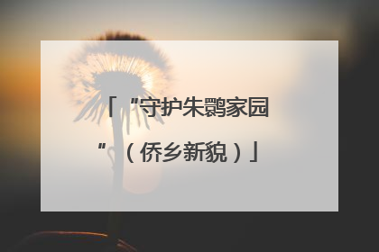 “守护朱鹮家园”（侨乡新貌）