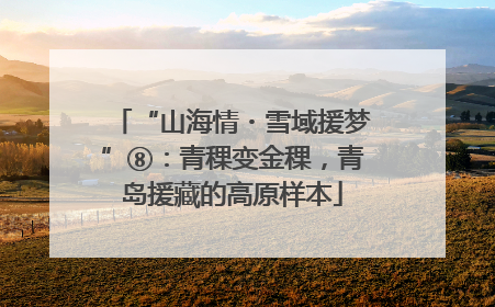 “山海情・雪域援梦”⑧：青稞变金稞，青岛援藏的高原样本