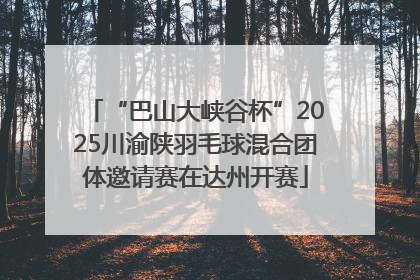 “巴山大峡谷杯”2025川渝陕羽毛球混合团体邀请赛在达州开赛