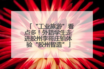 “工业旅游”看点多！外籍学生走进胶州李哥庄镇体验“胶州智造”