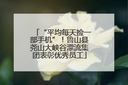 “平均每天捡一部手机”！鲁山县尧山大峡谷漂流集团表彰优秀员工