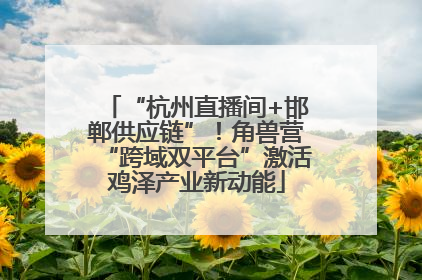 “杭州直播间+邯郸供应链”！角兽营“跨域双平台”激活鸡泽产业新动能