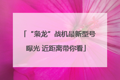 “枭龙”战机最新型号曝光 近距离带你看