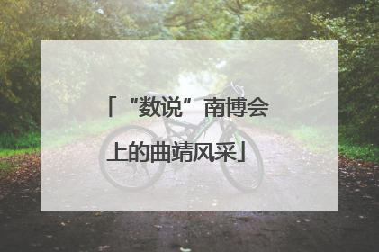 “数说”南博会上的曲靖风采
