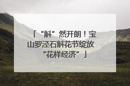 “斛”然开朗！宝山罗泾石斛花节绽放“花样经济”
