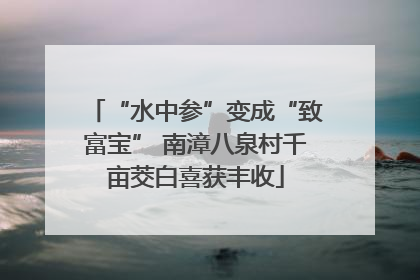 “水中参”变成“致富宝” 南漳八泉村千亩茭白喜获丰收
