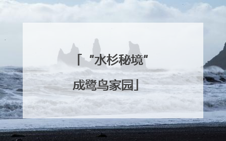 “水杉秘境”成鹭鸟家园