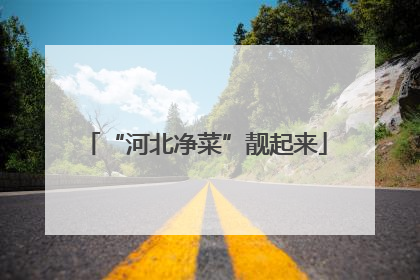 “河北净菜”靓起来