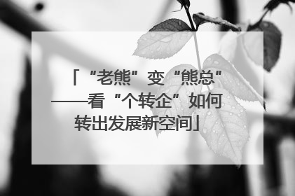 “老熊”变“熊总”——看“个转企”如何转出发展新空间