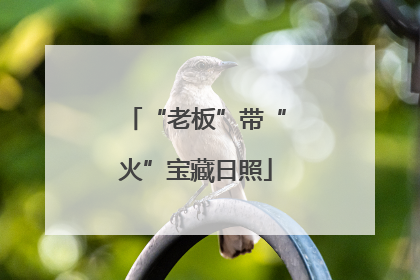 “老板”带“火”宝藏日照