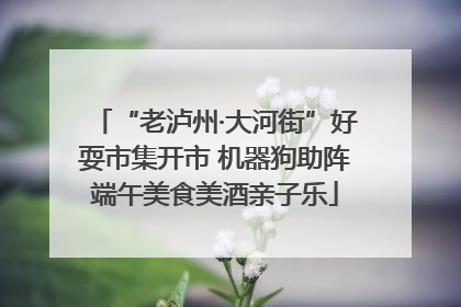 “老泸州·大河街”好耍市集开市 机器狗助阵端午美食美酒亲子乐