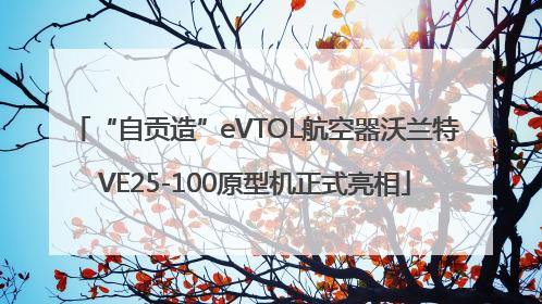 “自贡造”eVTOL航空器沃兰特VE25-100原型机正式亮相