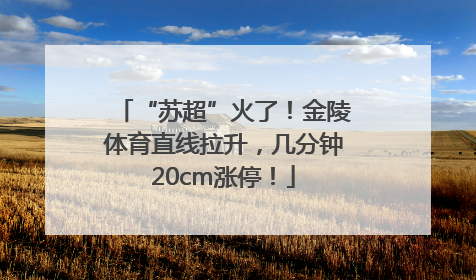 “苏超”火了！金陵体育直线拉升，几分钟20cm涨停！