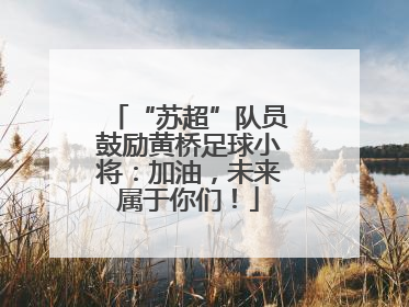 “苏超”队员鼓励黄桥足球小将：加油，未来属于你们！