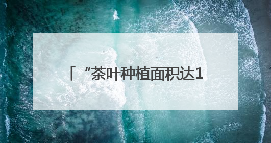 “茶叶种植面积达12.5万亩，全产业链产值达57亿元” 浙江武义茶产业全链发展“加速度”