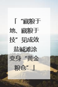 “藏粮于地、藏粮于技”见成效 盐碱滩涂变身“黄金粮仓”