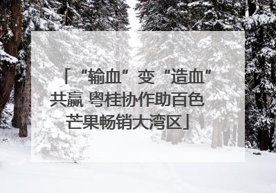 “输血”变“造血”共赢 粤桂协作助百色芒果畅销大湾区