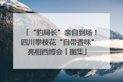 “豹局长”亲自到场！四川攀枝花“自带香味”亮相西博会丨图集